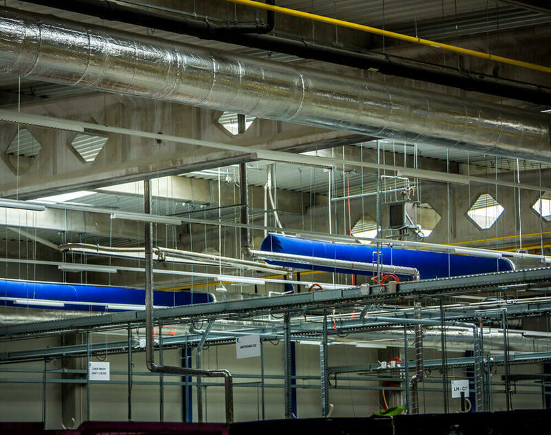 Eberspächer Faza II,